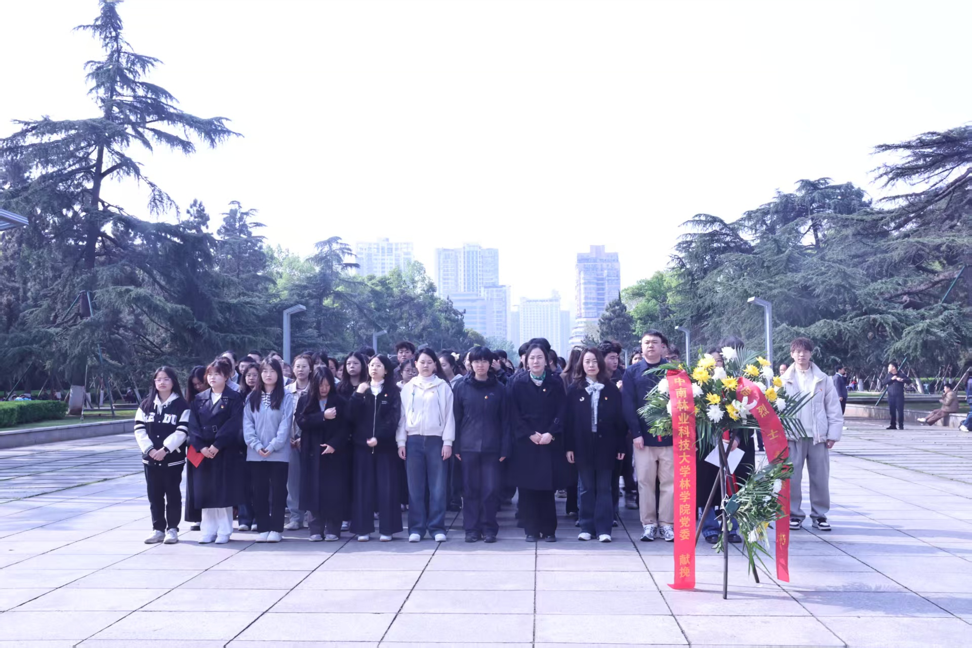 bv伟德国际体育官方网站