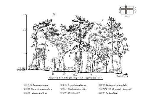 bv伟德国际体育官方网站