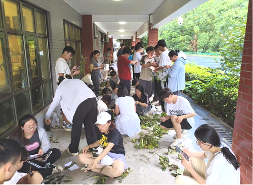 bv伟德国际体育官方网站
