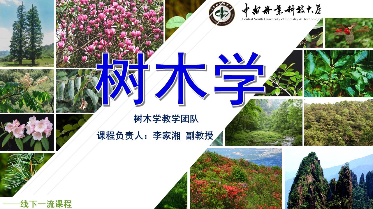 bv伟德国际体育官方网站