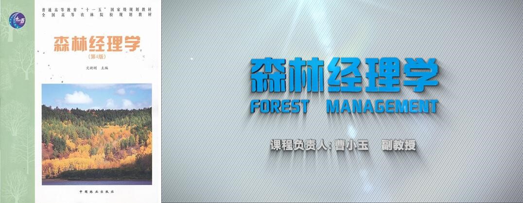 bv伟德国际体育官方网站