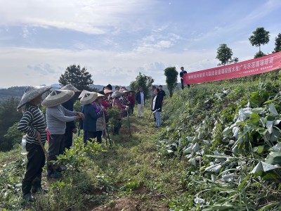 bv伟德国际体育官方网站