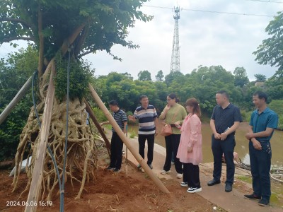 bv伟德国际体育官方网站