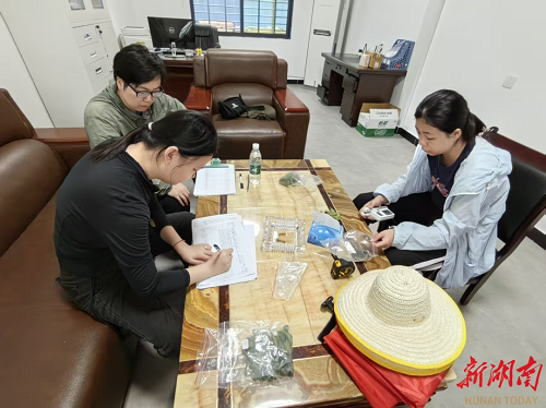 bv伟德国际体育官方网站