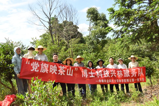 bv伟德国际体育官方网站